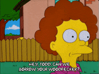 bart simpson neighbor GIF