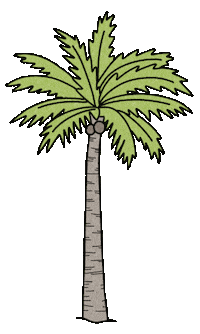 Palmtree Sticker