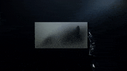 Art Bird GIF by Woodblock