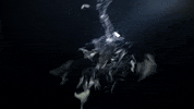 Art Bird GIF by Woodblock