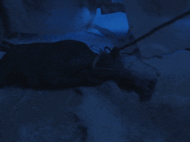 United Kingdom Travel GIF by TIFF