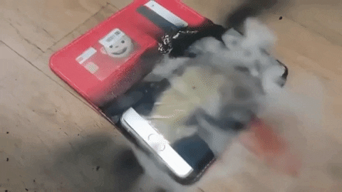 woooglet giphygifmaker GIF