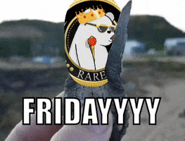 Party Friday GIF by SuperRareBears