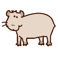 Anterie capybara carpincho carpincho magico anterie Sticker