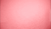 Whatever You Say Ok GIF by BDHCollective