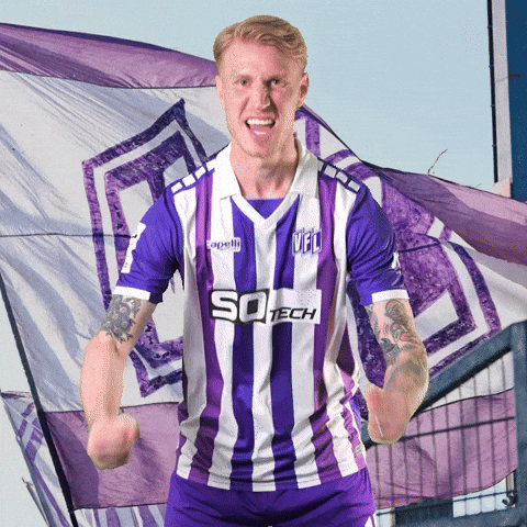 Tor Sieg GIF by VfLOsnabrueck