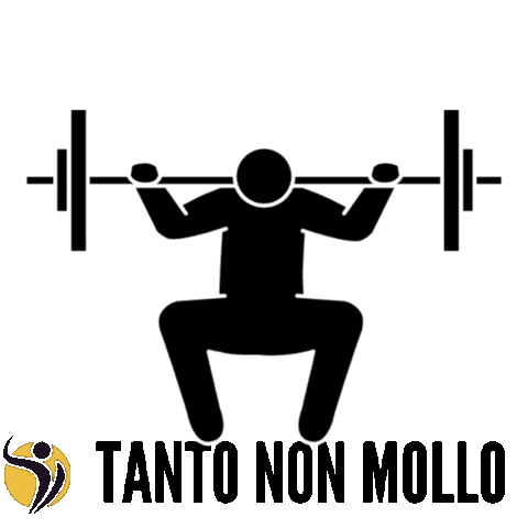 Gym Squat Sticker by Champion Training Sanda Martial Art