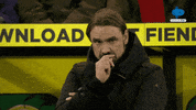 Eyebrows Norwich GIF by MolaTV