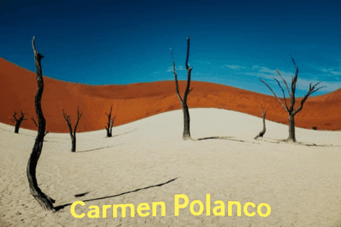 carmenpolanco1 giphygifmaker GIF