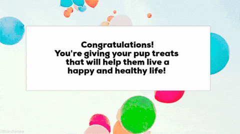 giphygifmaker giphyattribution GIF