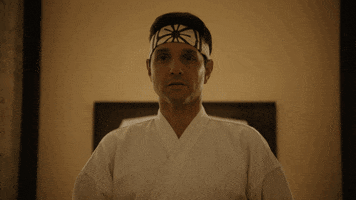 Cobra Kai GIF by NETFLIX