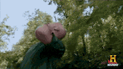 awkward swamp people GIF