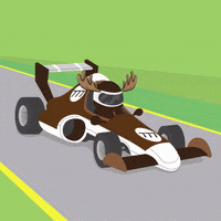 DoYouMoose car racing race driving GIF