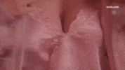 Lgbt Queer GIF by SLUTEVER