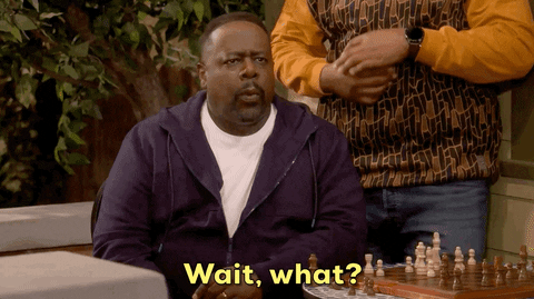 Wait What Wtf GIF by CBS