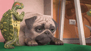 Sad Pug GIF by MightyMike