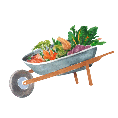 Vegetables Wheel Sticker by Amy's Kitchen