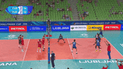 GIF by Volleyball World