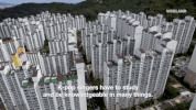 viceland GIF by NOISEY
