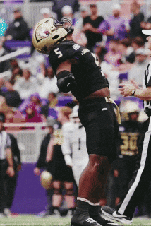 Football Celebrating GIF by JMUDukes