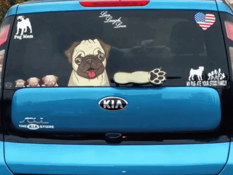 Pug Waving GIF by WiperTags Wiper Covers