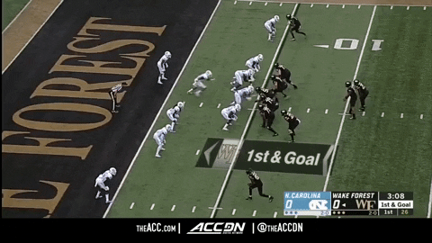 zdunn giphygifmaker GIF