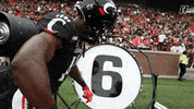 Celebrate College Football GIF by Cincinnati Bearcats