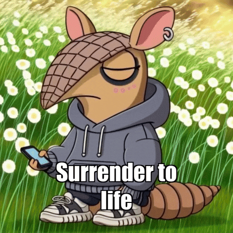 Wisdom Acceptance GIF by Chillo Dillo