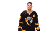 University Of Waterloo Hockey Sticker by Waterloo Warriors