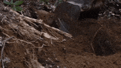 Heavy Equipment Grading GIF by JC Property Professionals
