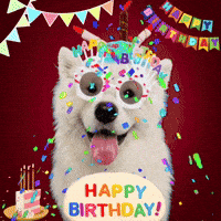 Happy Birthday GIF