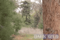 Jumping Paul Scheer GIF by Dark Web