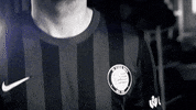 Europa League Celebration GIF by SK Sturm Graz