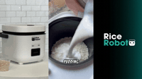 Mango Sticky Rice At Home | Rice Robot
