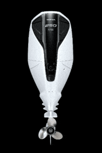 Bf250 GIF by HondaMarineItalia