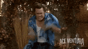 jim carrey alrighty then GIF by Morgan Creek