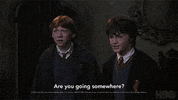 harry potter GIF by HBO