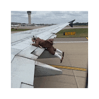 Traveling Taking Off Sticker