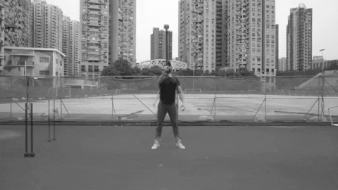 setforset giphygifmaker GIF