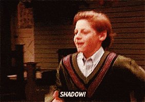 homeward bound GIF