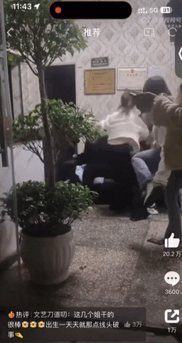 yj_jane giphyupload GIF