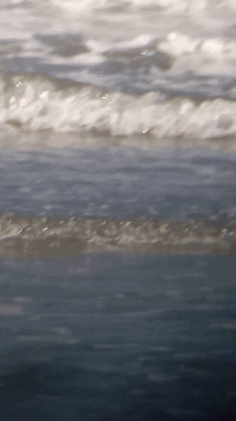 Simongip giphyupload GIF