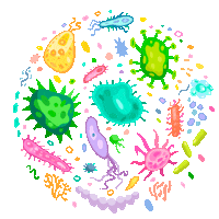 Food Safety Qualidade Sticker by Br Quality Consultoria