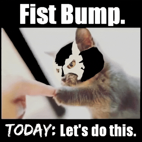 Motivation Fist Bump GIF