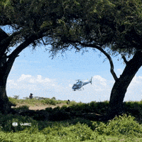 Fast Car Motorsport GIF by FIA World Rally Championship
