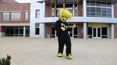 Wu_Shock giphyupload guitar rockstar jamming GIF