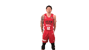 Basket Pistolero Sticker by UCAM Universidad