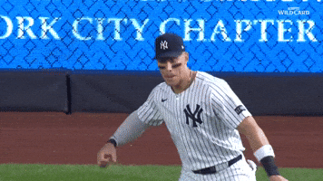 Celebrate New York Yankees GIF by MLB