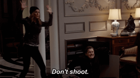 Don't shoot GIF by The Mick