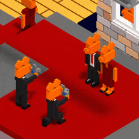 LeuvenKortfilmfestival red carpet cameraman redcarpet camera flash GIF